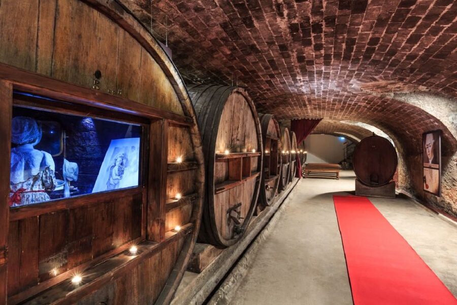 Nice: Full-Day Côtes de Provence Wine Tour - Three wineries, three ways to understand Provence wine