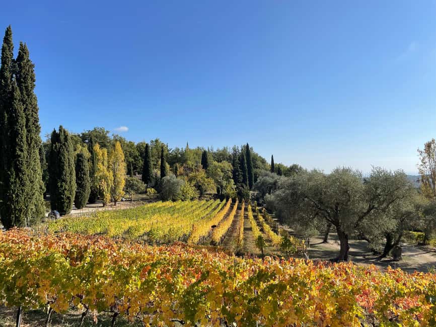 Nice: Full-Day Côtes de Provence Wine Tour - The 75-minute ride from Nice to the vineyards