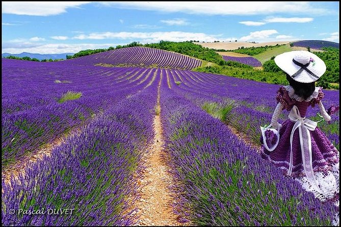 Nice: Gorges of Verdon and Fields of Lavender Tour - Moustiers-Sainte-Marie gives you real village time