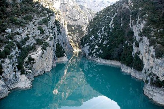 Nice: Gorges of Verdon and Fields of Lavender Tour - Lavender fields require careful timing