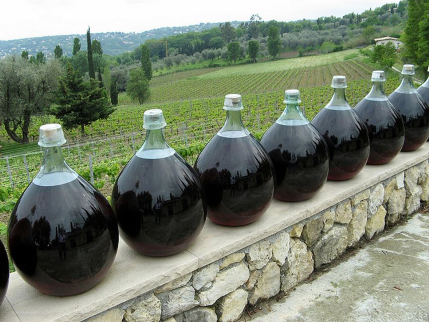 Nice: Half-Day Saint Paul de Vence and Wine Tasting Tour - Why this four-hour trip works from Nice
