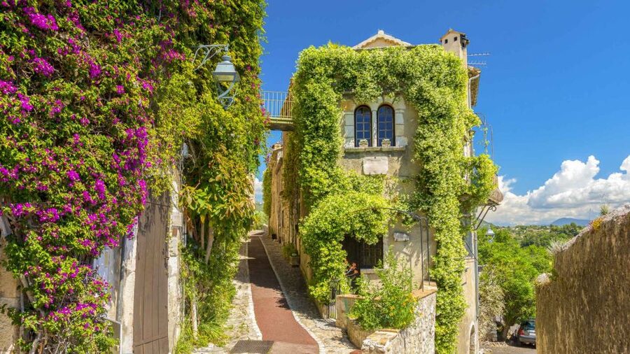 Nice: Medieval Villages Full-Day Guided Trip - Grasse: perfume, tanneries, and a useful first stop