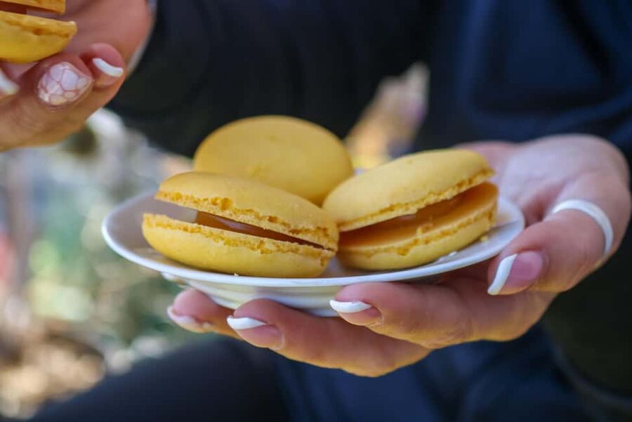 Nice: Old Town Food Walking Tour - Is $141 a fair price?