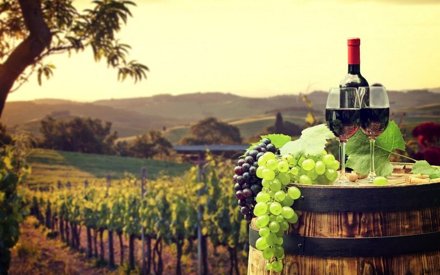 Nice: Provence Village Tour with Wine and Produce Tasting - Key points to know before booking