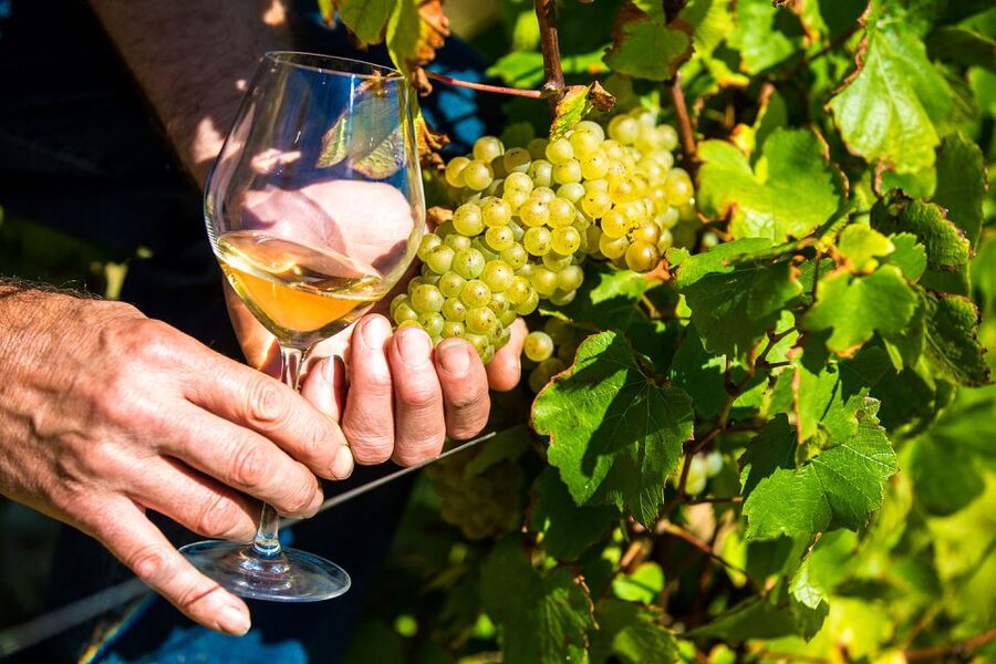 Nice: Provence Village Tour with Wine and Produce Tasting - Biot glass and the first look at local craft