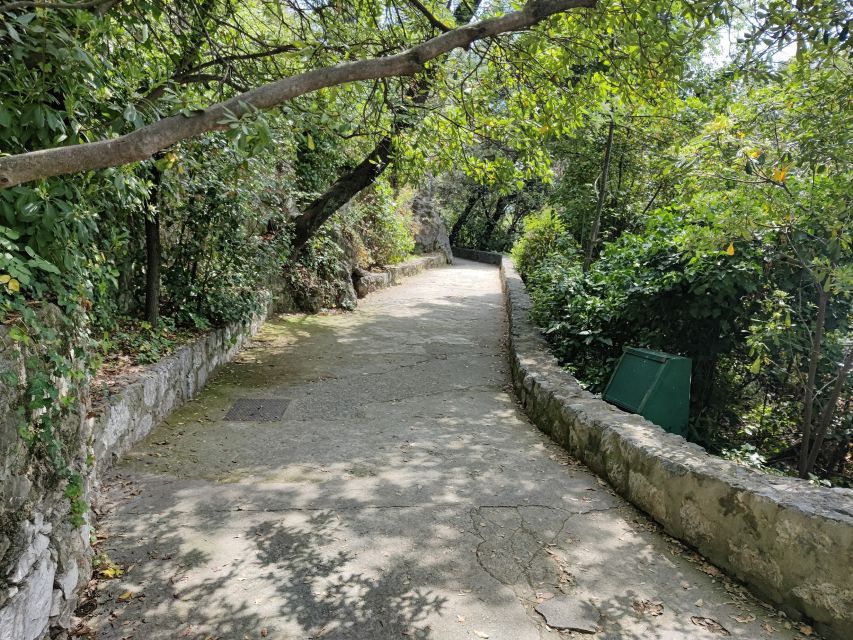 Nice: Sightseeing Walking Tour with certified tour guide - Key points to know before you book