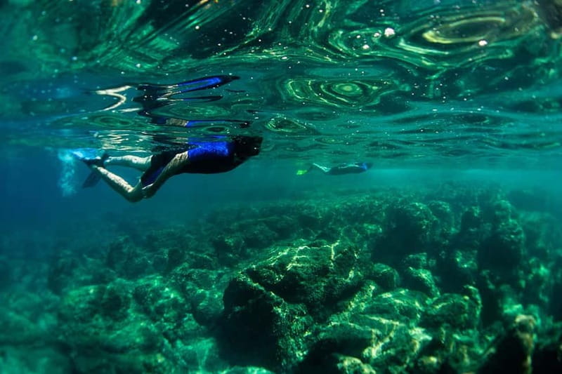 Nice: Snorkeling Speedboat Tour in Villefranche Bay - A quick ride from Nice to Villefranche Bay