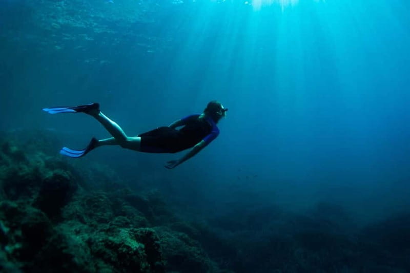 Nice: Snorkeling Speedboat Tour in Villefranche Bay - What the guides add to the experience