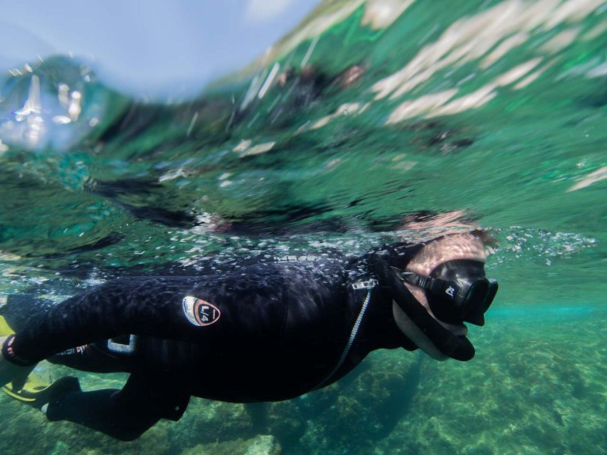 Nice: Snorkeling Speedboat Tour in Villefranche Bay - Families, beginners, and experienced swimmers