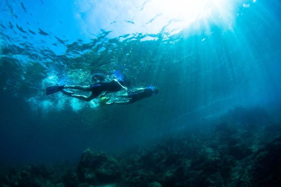 Nice: Snorkeling Speedboat Tour in Villefranche Bay - Practical details that affect your day