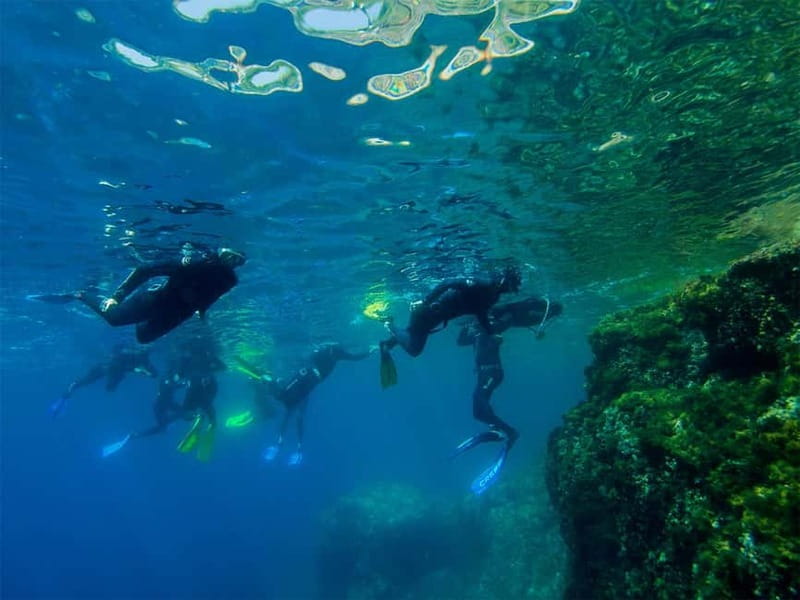 Nice: Snorkeling Speedboat Tour in Villefranche Bay - Getting fitted with a mask, fins, and wetsuit