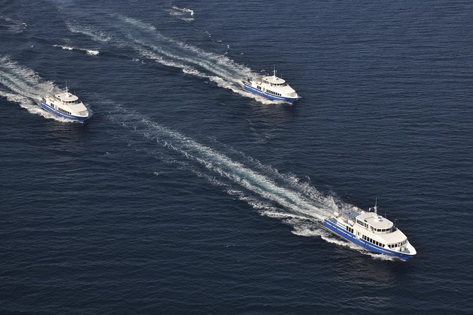 Nice to St Tropez Ferry Ticket and Cruise - Price, group size, and overall value