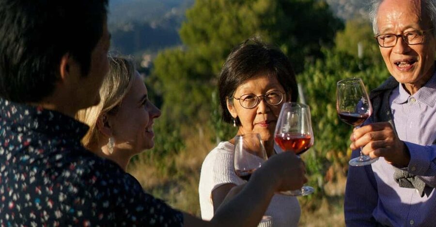 Nice: Vineyard Tour with Wine Tasting - Reaching the vineyard from central Nice