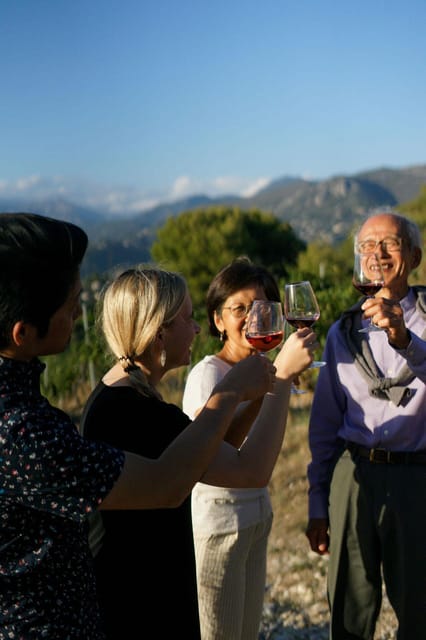 Nice: Vineyard Tour with Wine Tasting - Walking through the vineyard for one hour