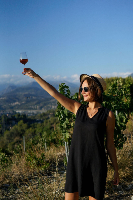 Nice: Vineyard Tour with Wine Tasting - A few practical tips before you go