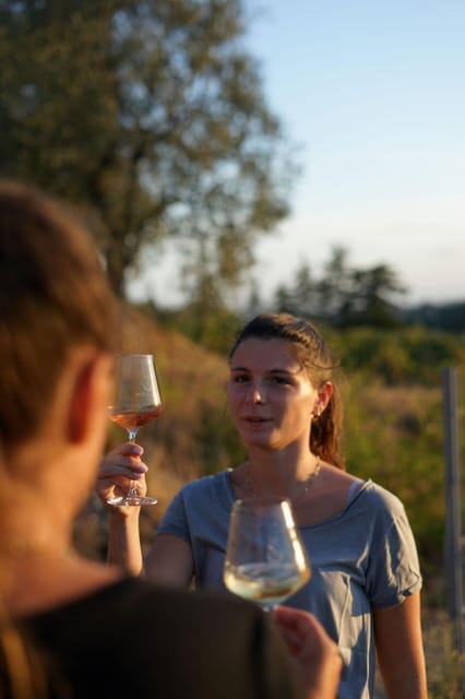 Nice: Vineyard Tour with Wine Tasting - Should you book this wine tour in Nice?