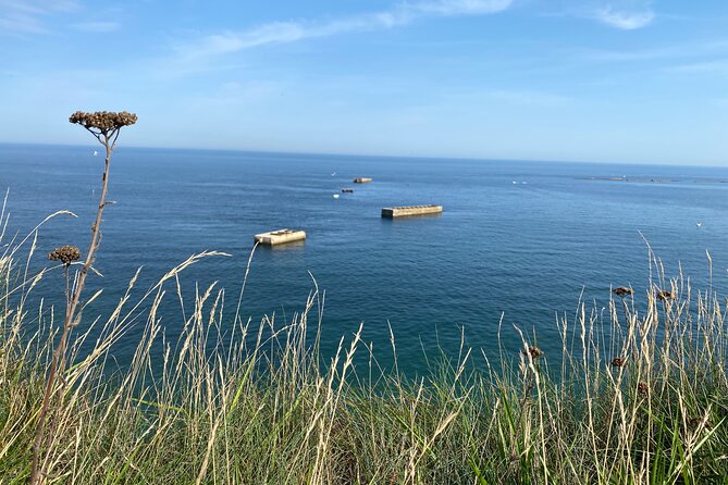 Normandy American & British DDay Beaches Halfday Tour from Bayeux - The guide makes or breaks the afternoon