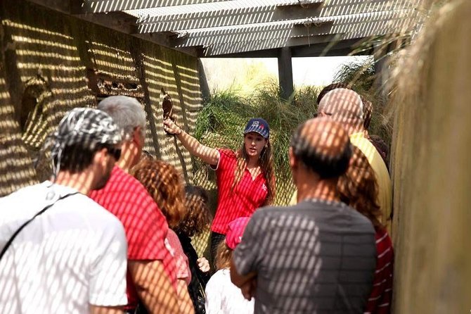Normandy Battlefields Half Day Tour - Canadian World War II Sites - Juno Beach Centre: Canada’s story starts indoors