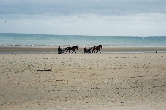 Normandy Beaches Half-Day Afternoon Trip from Bayeux (A2) - Comfort, weather, and what to bring