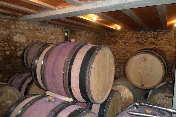 Northern Rhône Valley Wine tour from Lyon Half Day - Who will enjoy this half-day outing?
