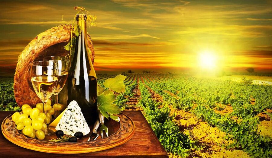 Organic Wine Tasting with Saint paul Half Day Tour from Nice - The drive from Nice: practical transport with local color