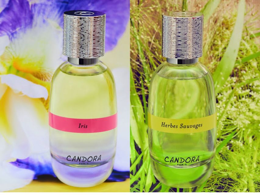 Paris: 2-Hour Perfume Creation Workshop - Blending Two or Three Scents in a Graduated Glass