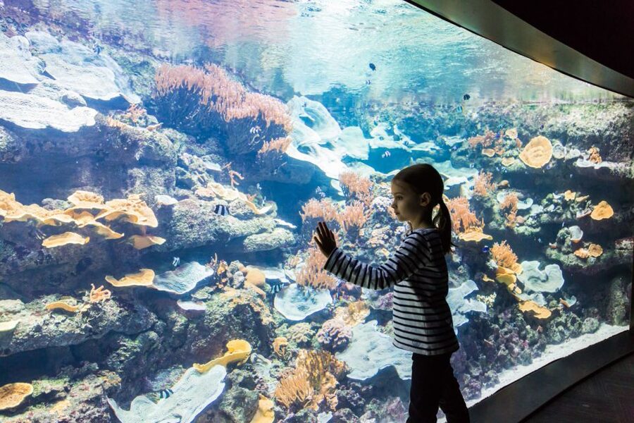 Paris: Aquarium de Paris Entrance Ticket - Who will enjoy this visit most?