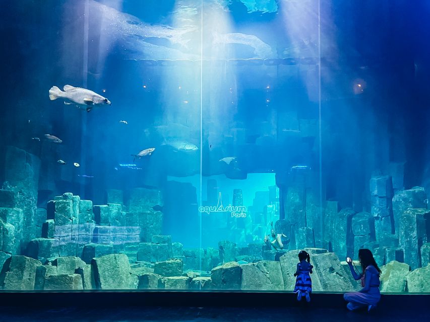 Paris: Aquarium de Paris Entrance Ticket - Sharks, stingrays, and the walk beneath the main tank