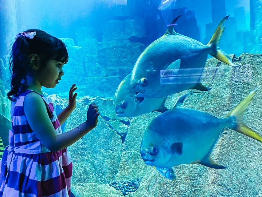 Paris: Aquarium de Paris Entrance Ticket - Workshops, cinema, and live shows