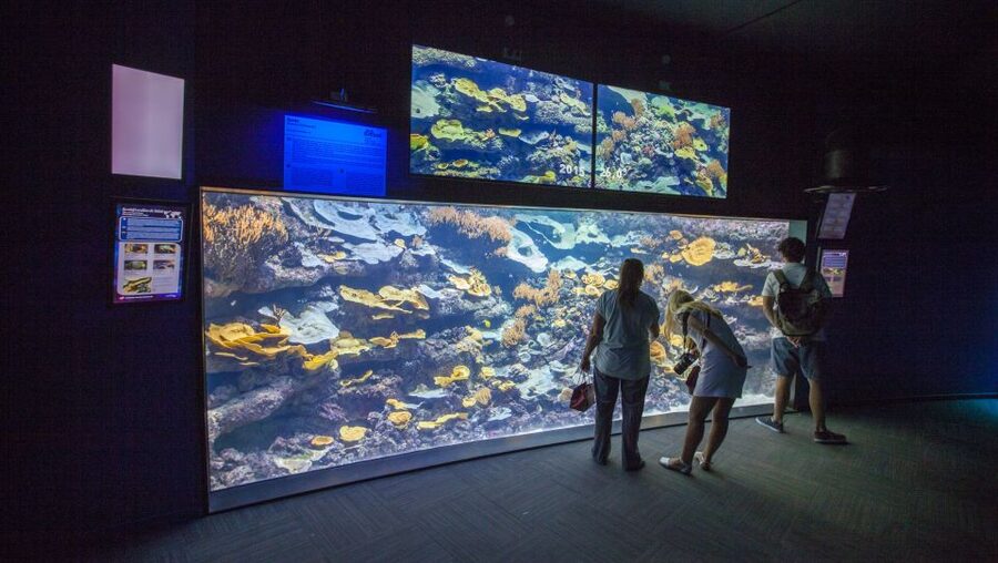 Paris: Aquarium de Paris Entrance Ticket - Is $25 a person good value?
