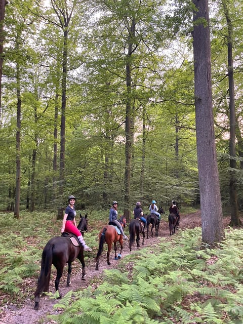 Paris: Aumont-en-Halatte Horseback Riding Tour - What your two hours look like
