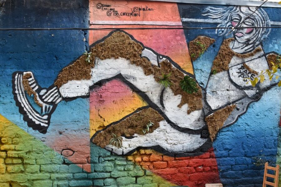 Paris: Belleville Street Art Tour with an Artist - Why Belleville is the right place to study Paris street art