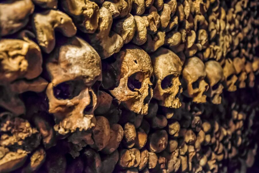 Paris: Catacombs Restricted Access Tour - Meeting the guide at Denfert-Rochereau