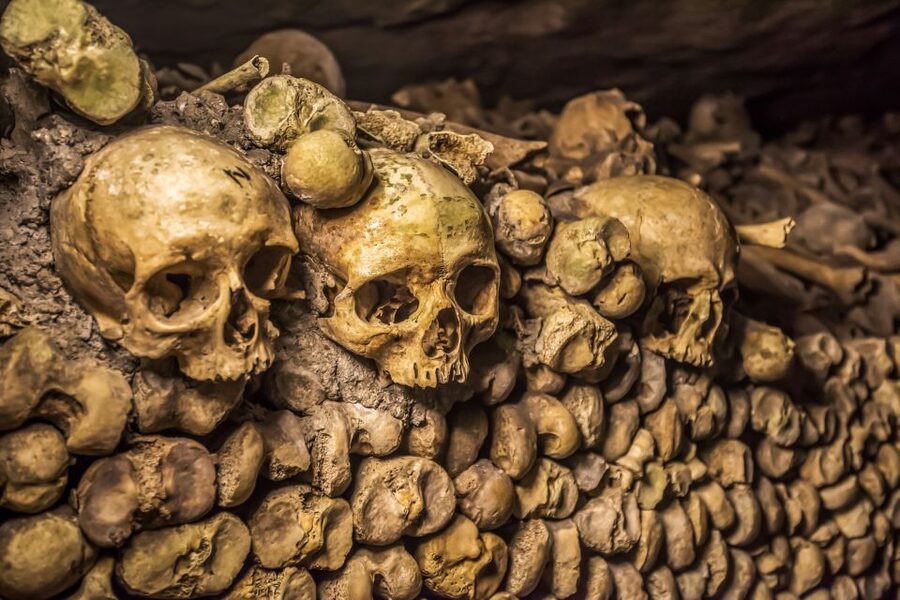 Paris: Catacombs Restricted Access Tour - The restricted rooms make the price easier to justify