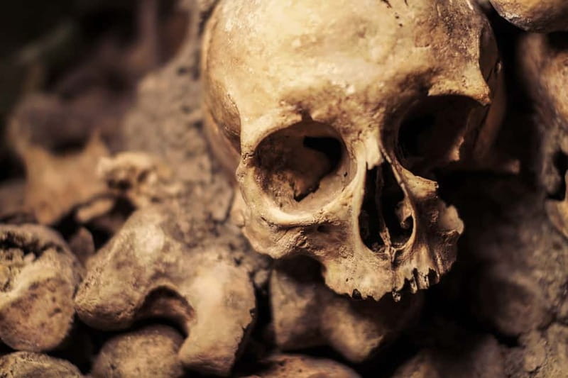 Paris: Catacombs Special Access Tour - Going underground: 130 steps and cool air