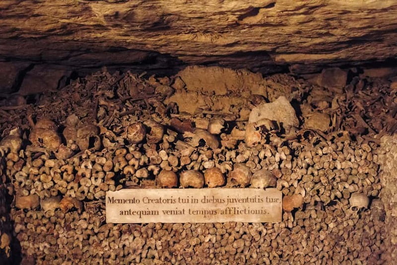 Paris: Catacombs Special Access Tour - Who should book this tour?