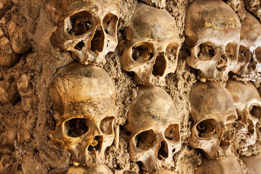 Paris: Catacombs Ticket and Seine River Cruise - Moving between the Catacombs and the Seine