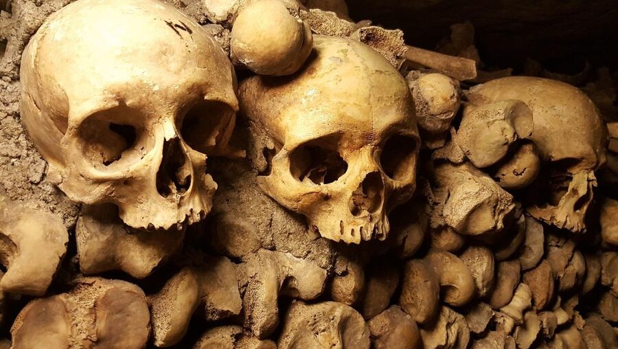 Paris: Catacombs Ticket and Seine River Cruise - Is the $104 price fair?