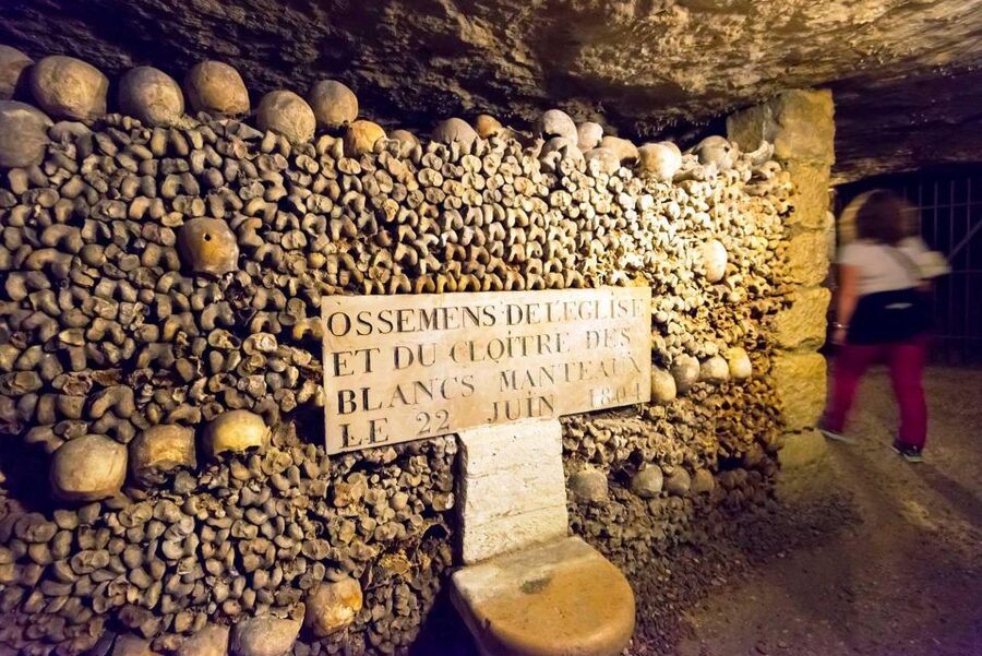 Paris: Catacombs Ticket and Seine River Cruise - Who should choose this package?