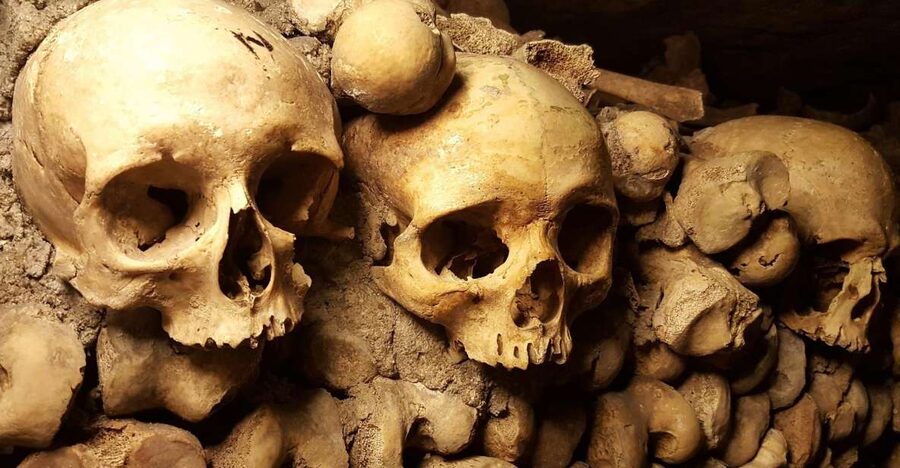 Paris: Catacombs Ticket and Seine River Cruise - The audio-guided route and what you will notice