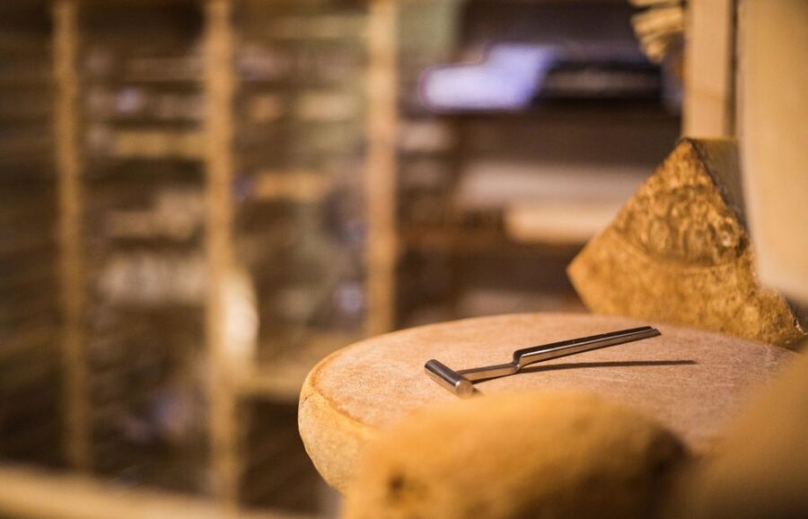 Paris: Cheese and Wine Class in a 17th Century Cellar - What the small group feels like