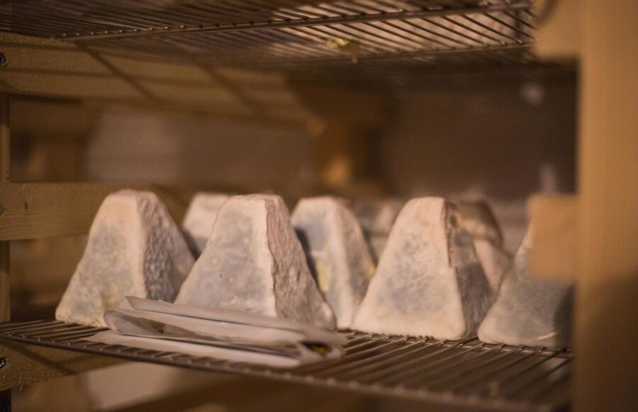 Paris: Cheese and Wine Class in a 17th Century Cellar - Seven cheeses, three wines, and fresh baguette