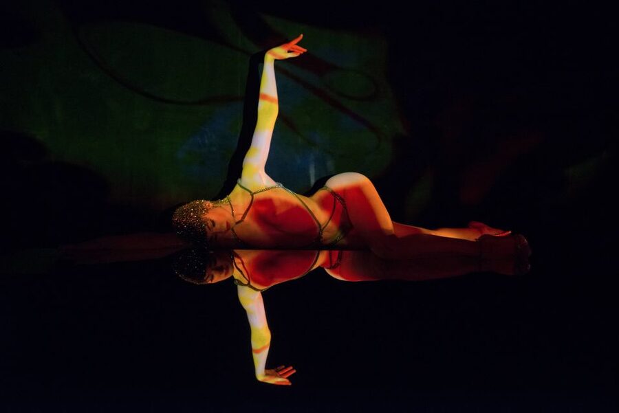 Paris: Dinner at Ginger Restaurant & Show at Crazy Horse - What the $241 price really covers