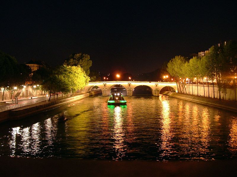Paris: Dinner Cruise on the Seine and Eiffel Tower 2nd floor - A Seine dinner with Paris passing by