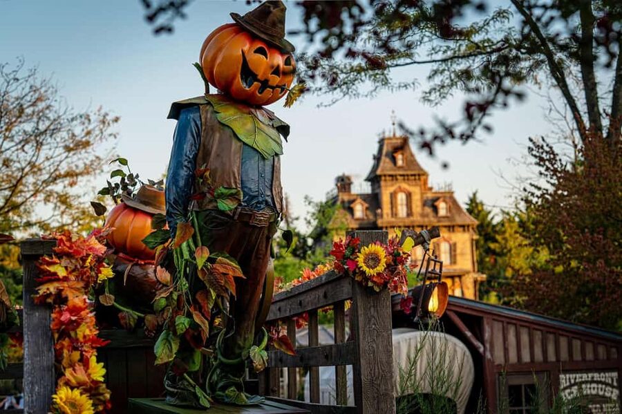 Paris: Disneyland Paris Ticket with Transfer - Should you book the Disneyland Paris coach and ticket?