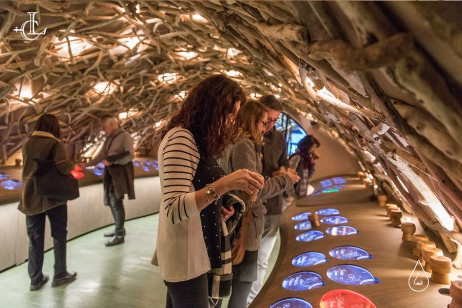 Paris: French Wine Experience in Parisian Cellar - The senses rooms and the value of hands-on learning