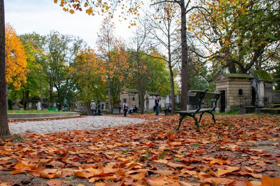Paris: Full-Day Custom Tour with Local Guide - Is $460 per person good value?