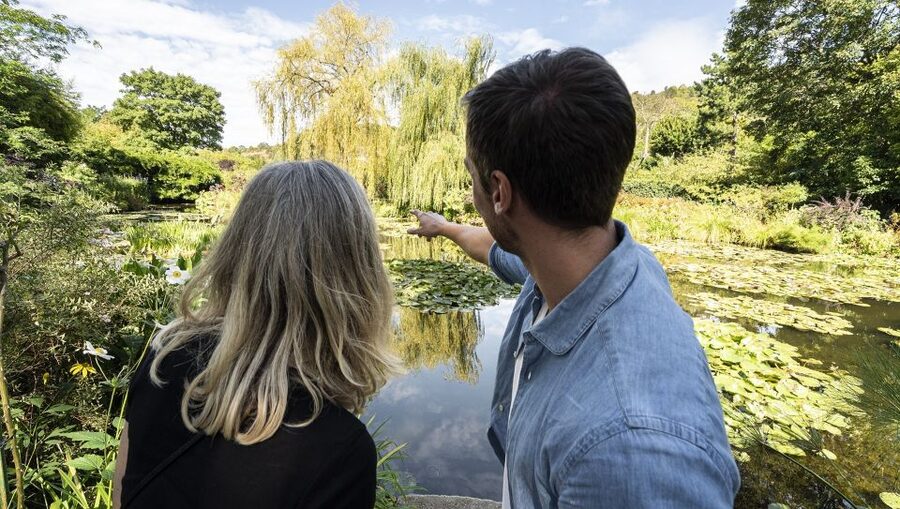 Paris: Giverny & Versailles Small Group or Private Tour - Versailles reveals the other side of France