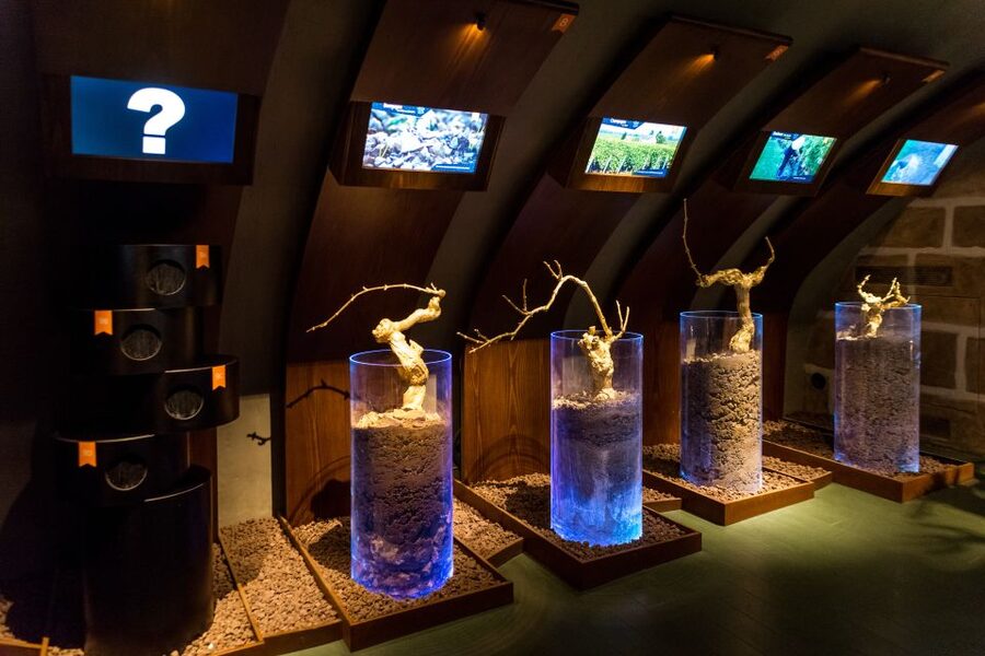 Paris: Les Caves du Louvre Guided Tour with Wine Tastings - Should you book this wine tour?