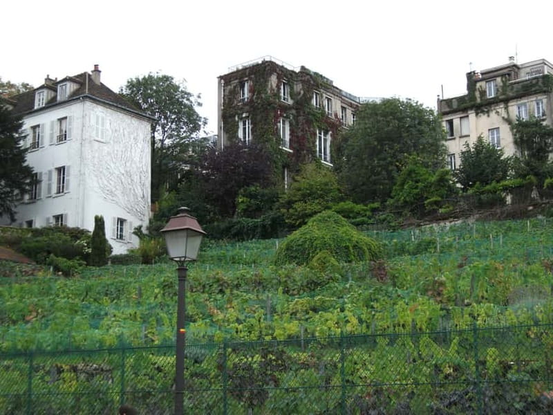 Paris: Montmartre Private Walking Tour - Climbing ancient Rue Lepic
